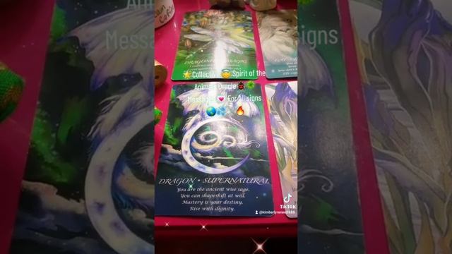 ?Collective ??Spirit of the Animals Oracle Messages? For All Signs???? For January 6th-8th 2023 ??? смотреть онлайн