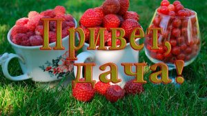 Привет, ДАЧА   *    Валерий Капризов