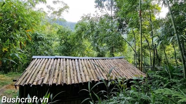 OFF GRID LIVING: How to knit a basket from bamboo? live in my bamboo house off the grid | Ep.49 смотреть онлайн