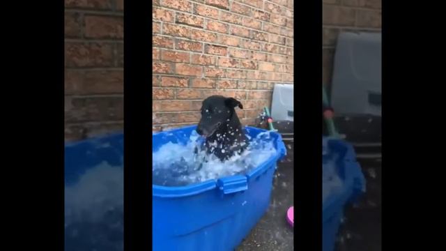VID-20240629-WA0011.mp4 смотреть онлайн