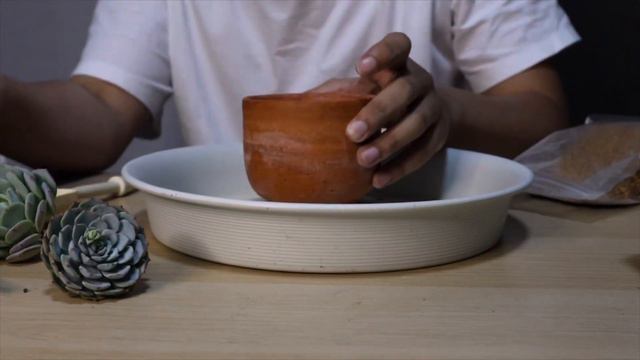Unbox ไม้อวบน้ำ กุหลาบหิน Echeveria Laui, Derlu, Minima Hybrid смотреть онлайн