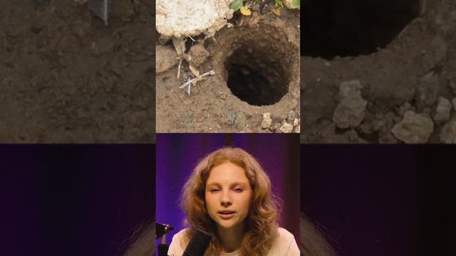 Это САМЫЙ ОПАСНЫЙ ТАНТУЛ #факт #пауки #shorts смотреть онлайн