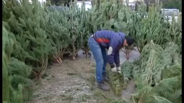 Новогодние ярмарки в Севастополе смотреть онлайн