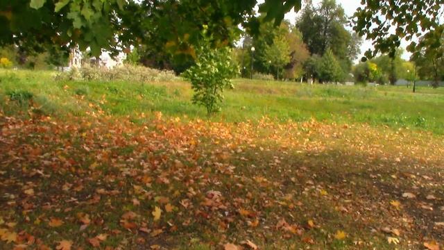 Я спросил у ясеня смотреть онлайн