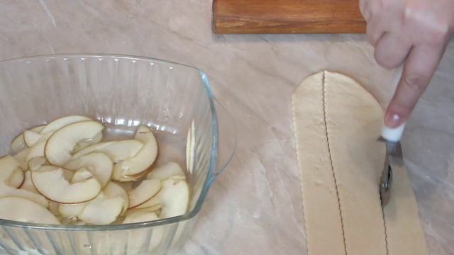 Цирковые Представления и Шоу