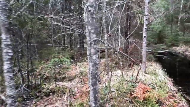 ЗАПОРОЖЕЦ УДЕЛАЛ БАГГИ. ВЕСЕННИЙ ВЫЕЗД. смотреть онлайн