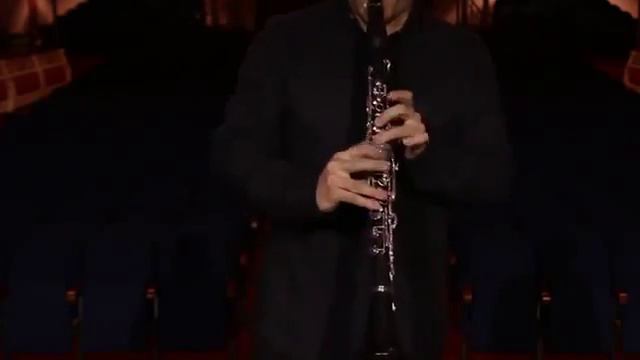 Homenaje Strauss. Bela Kovacs.Clarinete.Carlos Casanova смотреть онлайн