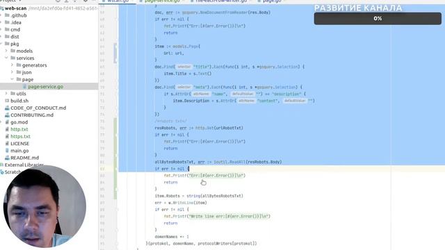 Golang. Live code #6. Создание и развитие опенсорс проекта wscan. смотреть онлайн