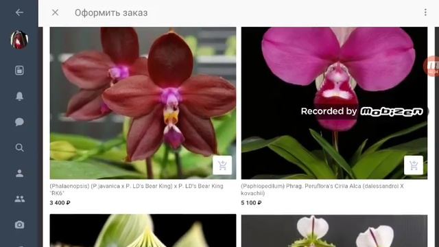 Заказ орхидей на HAPPY ORCHID ? смотреть онлайн