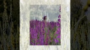 Стихотворение "Русская природа"