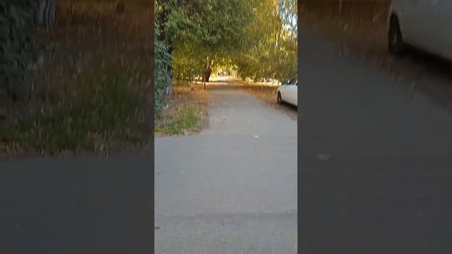 иду на танцы смотреть онлайн
