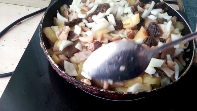 грибы весенние сморчки с картошкой,вкусно) смотреть онлайн