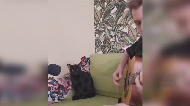 2 минуты смеха (Выпуск 10) смотреть онлайн