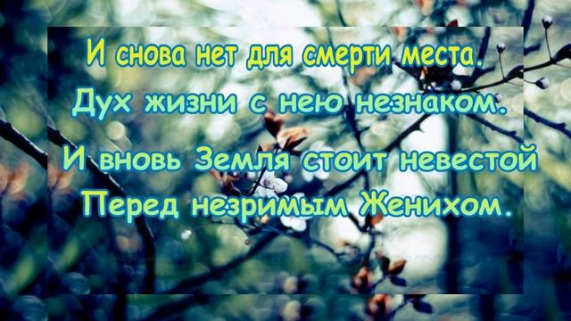 Зинаида Миркина смотреть онлайн