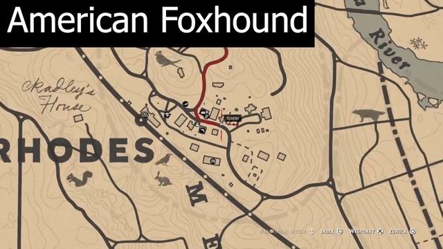 American Foxhound | Rötelreiher | Devon-Ochse - RDR2 Zoologe | Unter die Haut - #34 смотреть онлайн