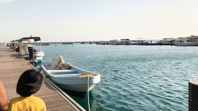 Wonder with Gil in Yanbu, Saudi Arabia смотреть онлайн