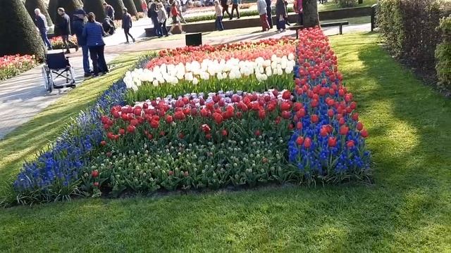 КОРОЛЕВСКИЙ парк  ТЮЛЬПАНОВ - Кёкенхоф Лиссе - НИДЕРЛАНДЫ.Keukenhof Holland