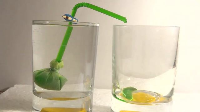 Осмос, корневое давление смотреть онлайн