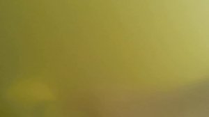 Лучший подводный металлоискатель Аквамарин!!!