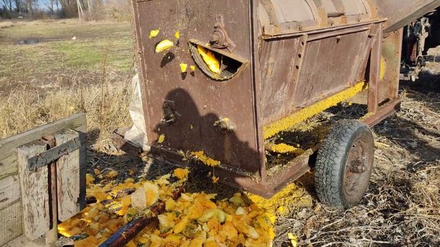 самодельный комбаин для уборки тыквы, гарбуза ,кабочка смотреть онлайн