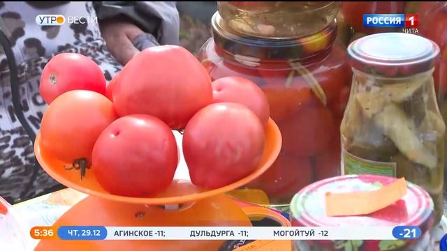 Забайкальский край в 2022 году перевыполнил годовой план по проведению ярмарок смотреть онлайн