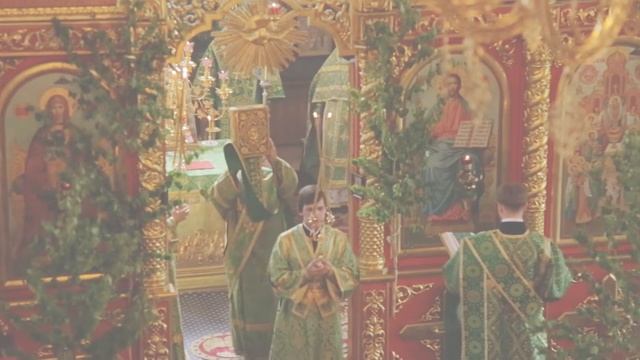 Архиерейское богослужение в праздник Святой Троицы в селе Алексеевское смотреть онлайн