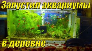 Запустил аквариумы в деревне!