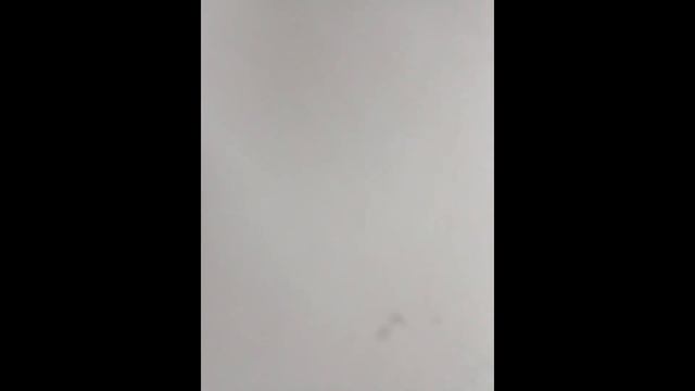 Птичка похожая на соловья стучалась в двери, а после решила спеть и это в середине Ноября 2023 г. ? смотреть онлайн