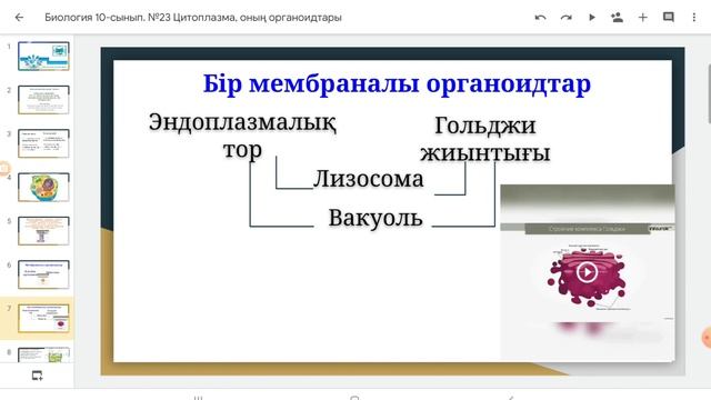 Биология.№23 Цитоплазма, оның органоидтары смотреть онлайн