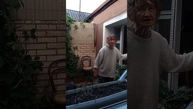 Соседка спокойно в 90 лет лезет в чужой двор и рвет все подряд.Что можно сделать этому созданию? смотреть онлайн