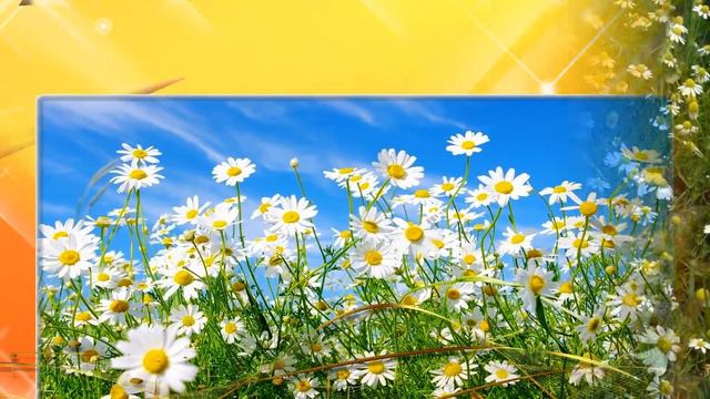 Летнего утра, чудесного дня смотреть онлайн
