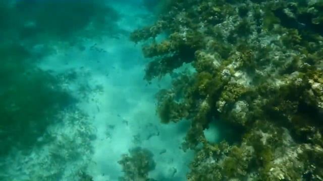 Guide Dive 2 смотреть онлайн