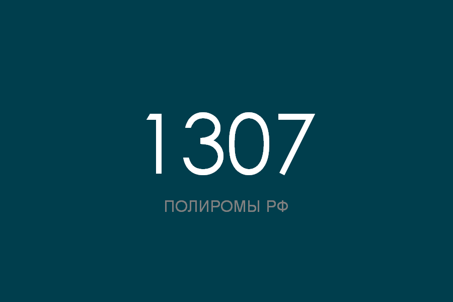 ПОЛИРОМ номер 1307 смотреть онлайн