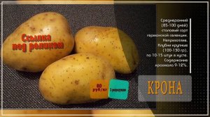 Картофель семенной Надина описание сорта, картофель Крона описание