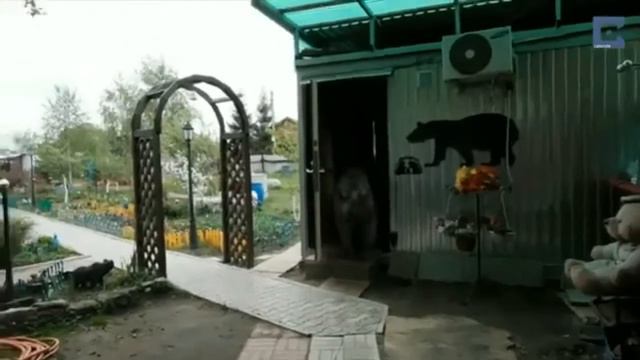КОГДА ШАРИШЬ В КОММЕРЦИ. КОММЕРЧЕСКАЯ ЖИЛКА.ВСЯ СУТЬ ЖИЗНИ смотреть онлайн