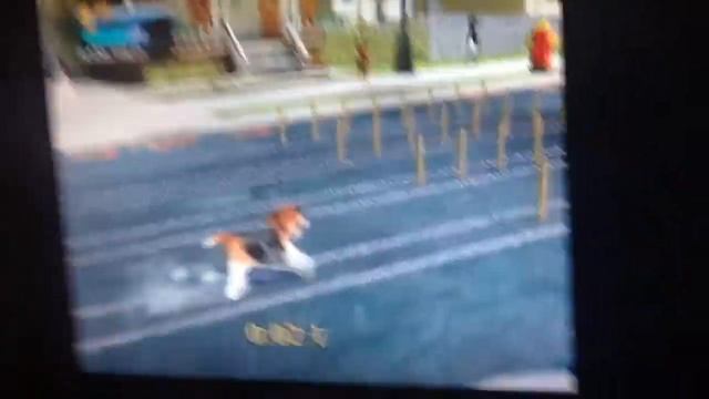 Petz Sports Walkthrough Part 2 First Races Part 1 смотреть онлайн