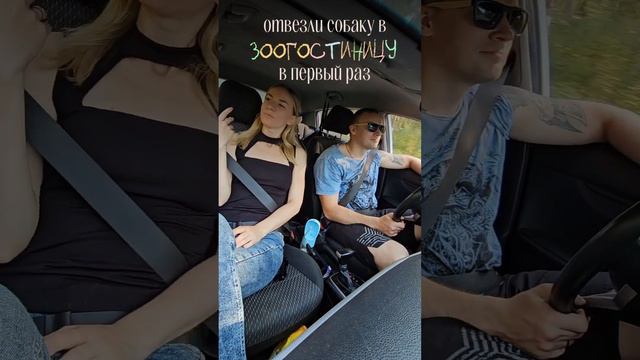 НАШ первый отпуск БЕЗ СОБАКИ. Летим в Сочи