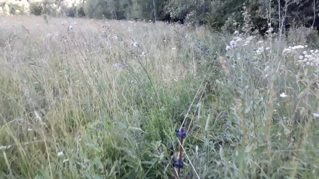 Всё что мы знаем об электроизгороди смотреть онлайн