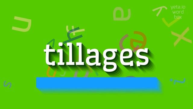 HOW TO SAY TILLAGES? #tillages смотреть онлайн