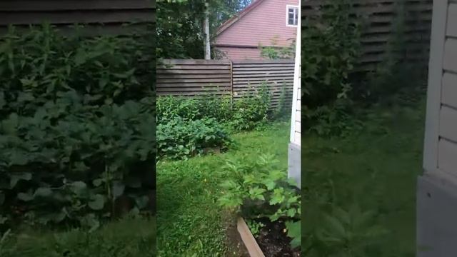 Лучшая на свете дача:)) смотреть онлайн
