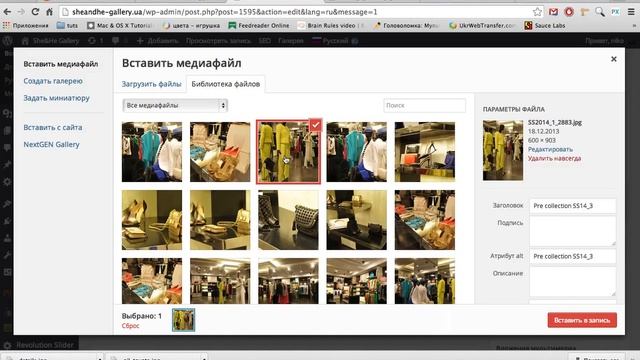 Wordpress basics tutorial - picture size смотреть онлайн