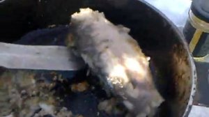 Жарим рыбу в Абабково