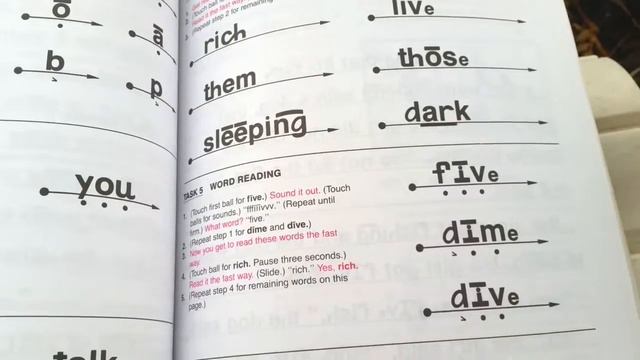🍄 Teach Your Child to Read in 100 Easy Lessons | BOOK CURRICULUM REVIEW | Kindergarten Literacy 🍄 смотреть онлайн