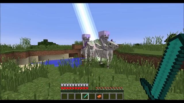 How to Tame Skeleton Horses in Minecraft смотреть онлайн
