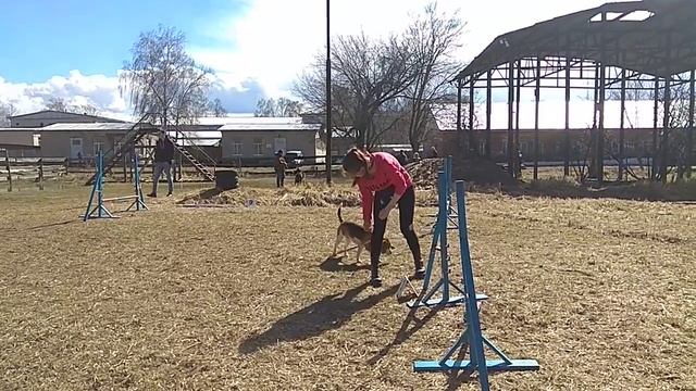 Айгуль и бигль Тильда смотреть онлайн