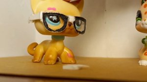 Новый ЛПС СЕРИАЛ: Школа 2021. Моя любимая стерва. LPS series серия 3 (любовь, школа, дружба, лпс)