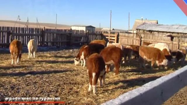 СЕЛЬСКОЕ ХОЗЯЙСТВО МИНИСТР ЗНАКОМСТВО смотреть онлайн