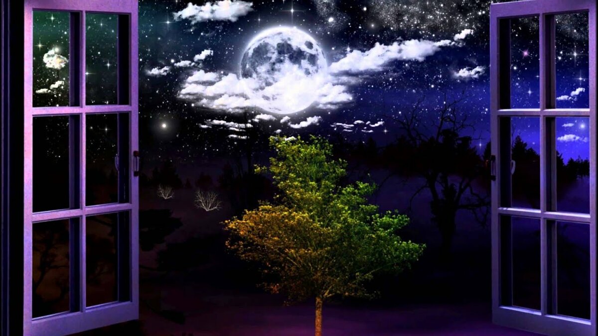 Вид Из Окна На Ночь Снаружи/Без Авторских Прав/Видео Фоны/Анимация/Стоковые Кадры/ смотреть онлайн