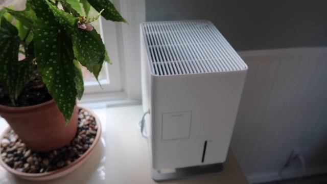 the secret to humidity loving house plants смотреть онлайн
