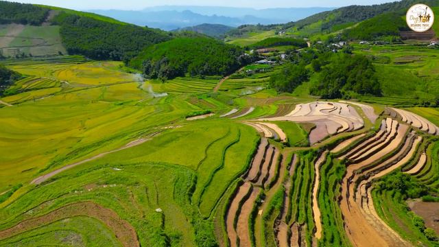 The World's Best Classical Instrumental Music, Relaxing Guitar Music Eliminates Stress